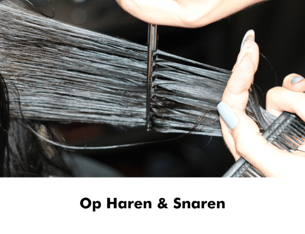 Op Haren & Snaren